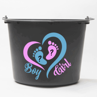 Boy Girl (Gender reveal)
