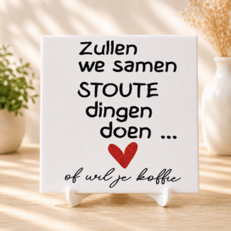 Tegeltje - Stoute Dingen